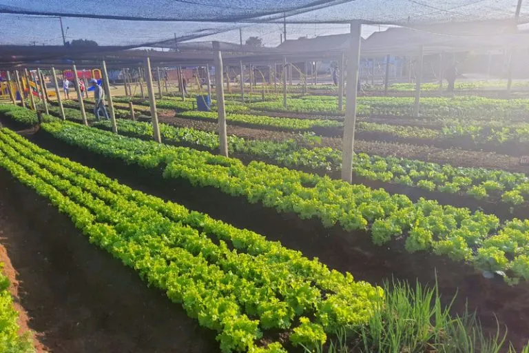 FAEP condena decisão ilegal da Itaipu sobre compra de terras