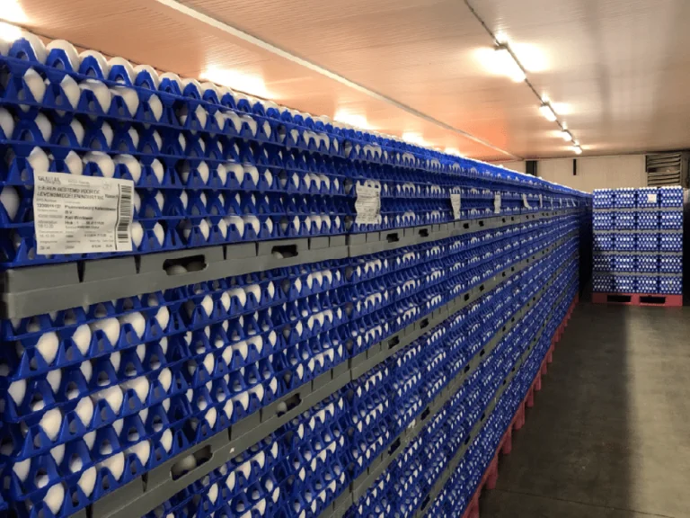 Produtores ganham prazo maior para identificar ovos a granel